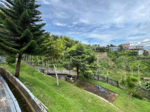 einen Park mit einem Baum, einer Bank und Bäumen in der Unterkunft Anemos Resort By Tamastu in Pasirpogor