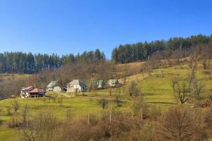 a group of houses on a hill in a field at Modern Mountain Mystic Kolasin in Kolašin