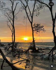 Billede fra billedgalleriet på Yahweh i Camocim