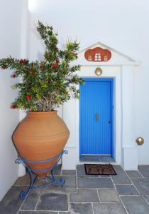 Fotografie z fotogalerie ubytování Captain's Home ART v destinaci Artemonas