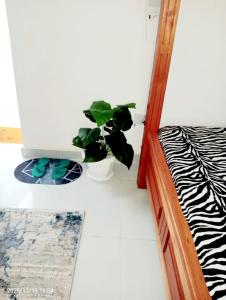 une plante placée à côté d'un ordinateur dans une pièce dans l'établissement Diani Beach rentals - 201 Studio Apartment, à Diani Beach 5 autres photos