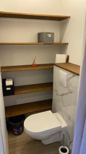 a bathroom with a white toilet and wooden shelves at Charmante maison in Pleumeleuc +1 photo