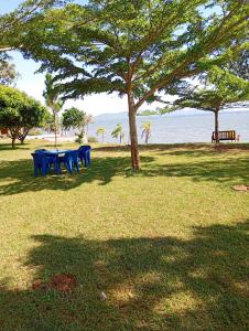 a picnic table under a tree on the beach at The Lakeside Beach Hotel in Busia