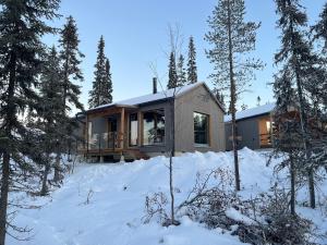 a house in the woods in the snow at Villa Light in Ruka