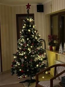 Billede fra billedgalleriet på Ideal Predeal i Predeal