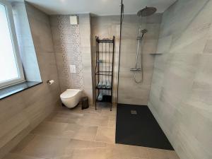 a bathroom with a shower and a toilet in it at Apartment with panoramic view in Lipperscheid +10 photos