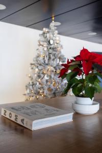 a book sitting on a table with a christmas tree at Grifone Dolomiti Residences in Arabba