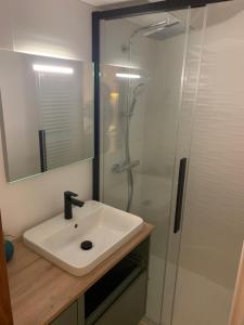 een badkamer met een wastafel en een douche bij Verte vallée 4 in La Clusaz