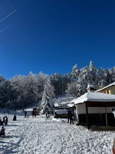 een groep mensen in de sneeuw bij Фокс Хаус FOX HOUSE in Peshtera