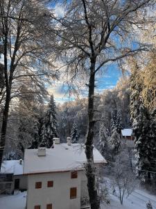 een huis met sneeuw op het dak bij Фокс Хаус FOX HOUSE in Peshtera