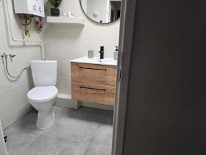 een badkamer met een toilet, een wastafel en een spiegel bij Apartment Cherry in Gryfice