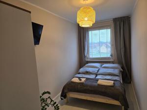 een slaapkamer met 2 bedden en een raam bij Apartment Cherry in Gryfice