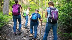 Eine Gruppe von Menschen, die auf einem Pfad im Wald laufen in der Unterkunft Casa Mahana spa in Saugnacq-et-Muret + 6 Fotos