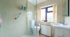 a bathroom with a shower and a toilet and a sink at Little puppy in Birmingham