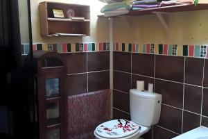 een badkamer met een toilet en een plank met handdoeken bij Au restalèz in Trémargat +4 foto's