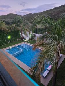 una piscina con palme di fronte a una casa di Villa privé Tetouan avec piscine a Tétouan