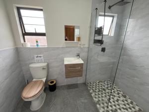 een badkamer met een douche, een toilet en een wastafel bij Ukosi Brisa in Kloof +48 foto's