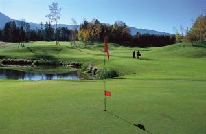 een golfbaan met een vlag in het midden van een groen bij Arieshof Castell in San Lorenzo di Sebato
