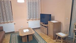 a living room with a flat screen tv and a chair at Kuća za odmor Diva Blidinje, Risovac 455 in Blidinje