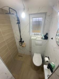 a bathroom with a shower and a toilet and a sink at Vikendica Zeleni san in SJJ +7 photos