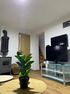 a living room with a tv and a table with a plant at Vikendica Zeleni san in SJJ