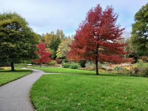 En have udenfor Hazel Cottage, Frithelstock
