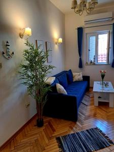 a living room with a blue couch and a plant at Old town nest in Budva