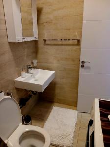 a bathroom with a toilet and a sink at Old town nest in Budva +6 photos