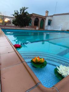 Swimmingpoolen hos eller tæt på VillaFilomena