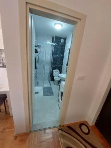 Et badeværelse på Luxury Andrej Apartment with Garage