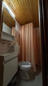 a bathroom with a toilet and a sink and a shower at Hotel Acropolis Metsovo in Metsovo