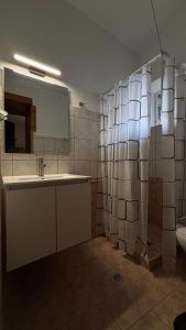 a bathroom with a sink and a mirror and a shower at Hotel Acropolis Metsovo in Metsovo