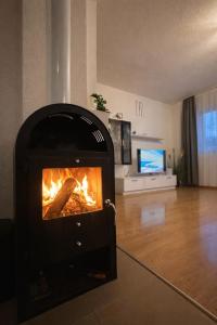 un camino nel mezzo di un soggiorno di Apartman Mila a Golubić