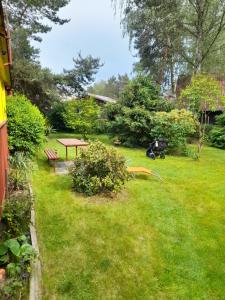 Zahrada ubytování Chata Doksy Máchovo jezero