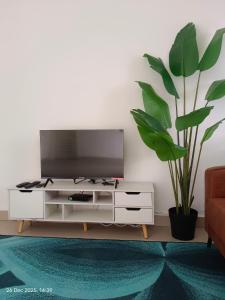 a living room with a tv and a potted plant at Halia Homestay in Batu Pahat