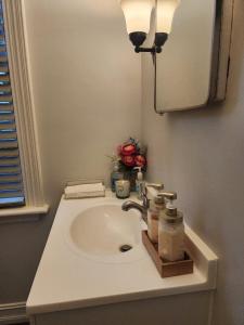 奥尔巴尼Pamoyo Place的浴室设有水槽、镜子和鲜花