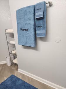 奥尔巴尼Pamoyo Place的挂在门上的一条毛巾