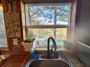 un évier de cuisine et une fenêtre donnant sur un arbre dans l'établissement Cozy Rustic Retreat on a Horse Ranch with Stunning Pikes Peak Views and Serenity Minutes from Downtown Woodland Park, à Woodland Park