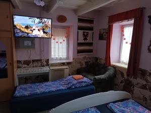 TV a/nebo společenská místnost v ubytování Liána Vendégház