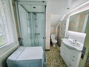une salle de bains avec douche, toilettes et lavabo dans l'établissement Gîte de Montapeine, à Breteau 13 autres photos