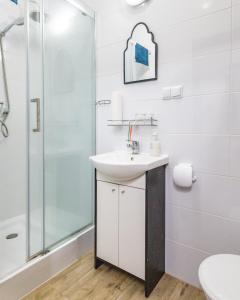 een badkamer met een wastafel en een douche bij Stacja Binino 