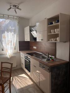 een keuken met een spoelbak en een fornuis bovenste oven bij Mathilde in Quedlinburg