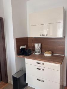 een keuken met een aanrecht met een blender erop bij Mathilde in Quedlinburg