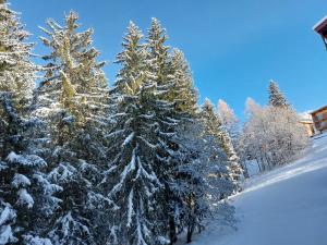 Cosy Duplex Arc1800 Aiguille Grive1 6 personnes om vinteren