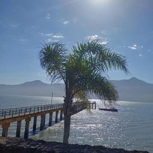 een palmboom naast een pier bij Bbzao motor home in São Sebastião