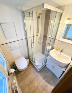 een badkamer met een douche, een toilet en een wastafel bij Gästehaus am Plönlein in Rothenburg ob der Tauber