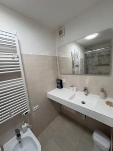 un bagno con lavandino, WC e specchio di G&S Belvedere Apartment - Nuoro a Nuoro