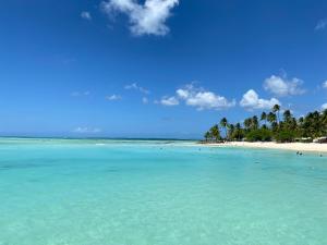 een strand met turquoise water en palmbomen bij Still Point Guesthouse in Crown Point