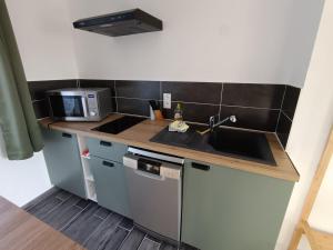 een kleine keuken met een spoelbak en een magnetron bij Maison Les Hemmes d'Oye in Oye-Plage