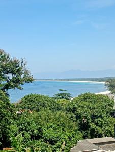 a view of a beach with trees and the ocean at Hospedagem up home Natureza e Simplicidade in Barra de Guaratiba